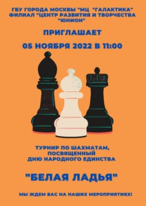 Турнир по шахматам, посвященный Дню народного Единства